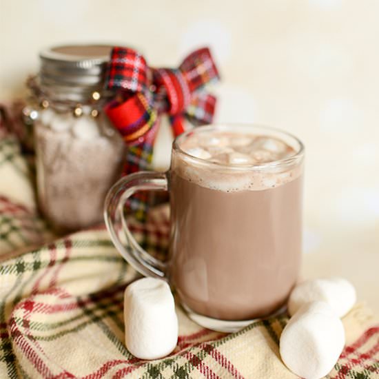 Hot Chocolate Mix Recipe