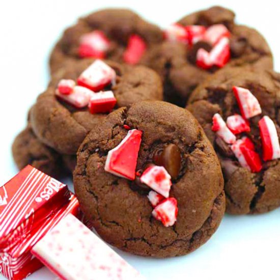 Chocolate Peppermint Cookies