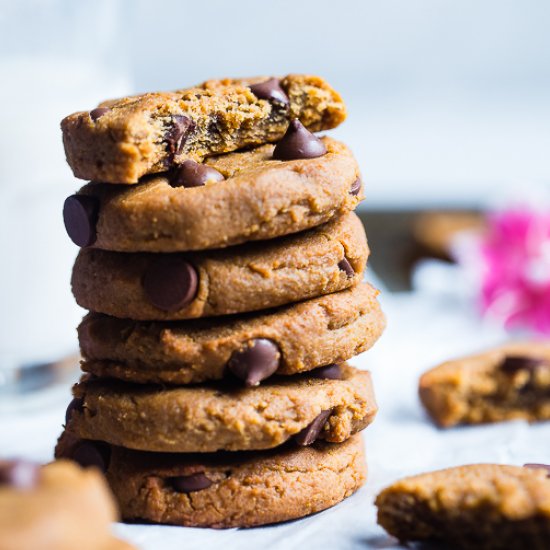 Peanut Butter Chocolate Chip Cookie