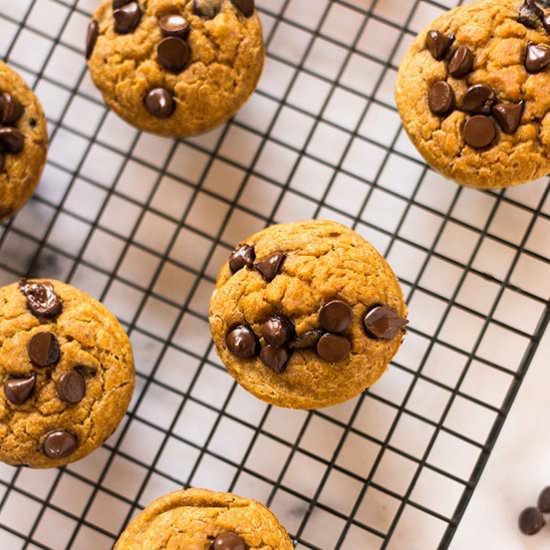 Pumpkin Chocolate Chip Muffins