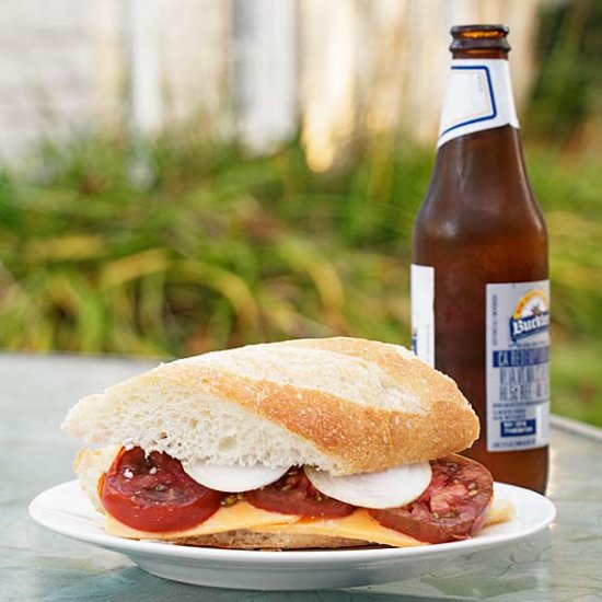 Tomato Cheese Onion Sandwich