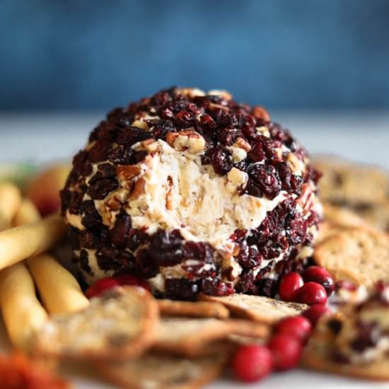 Cranberry Pecan Cheeseball