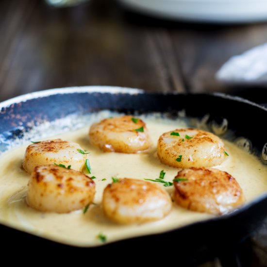 Seared Scallops with Saffron Sauce