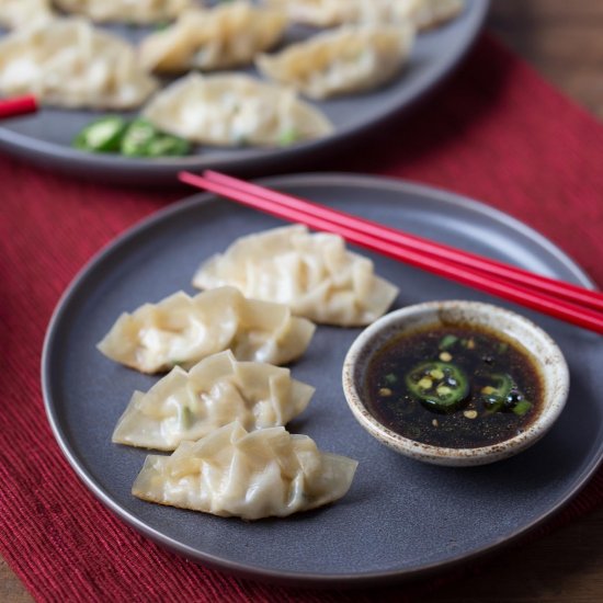 Turkey and Kimchi Potstickers