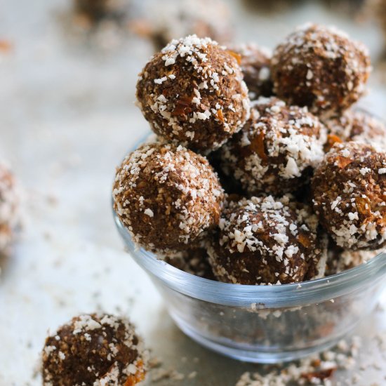 Paleo Chocolate Nut Pulp Bites