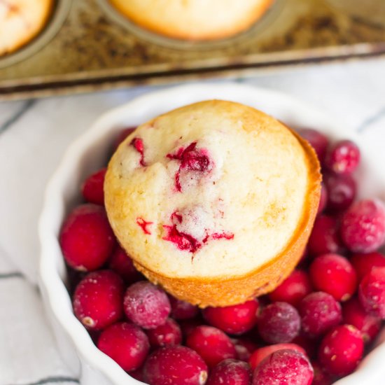 Fresh Cranberry Muffins