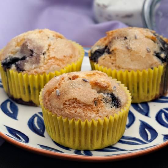 Dairfree Blueberry Lavender Muffin