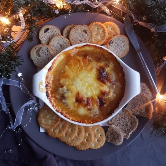 Melted Cheese w/ Cranberry-Onion