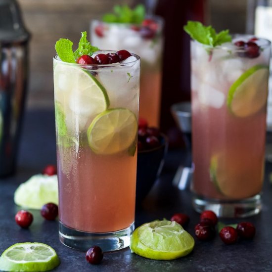 Fresh Cranberry Mojito Recipe