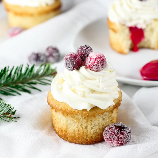 Cranberry White Chocolate Cupcakes