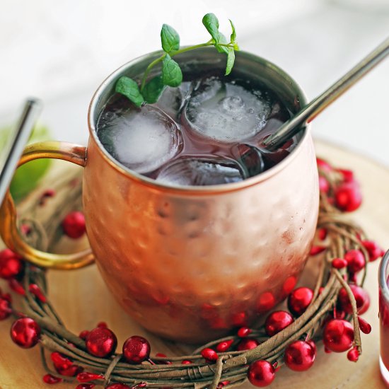 Pomegranate Honey Moscow Mule