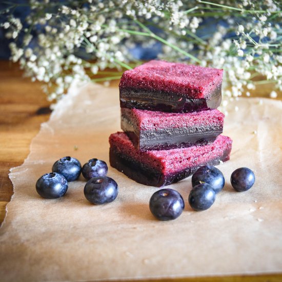 Gut Healthy Blueberry Jello