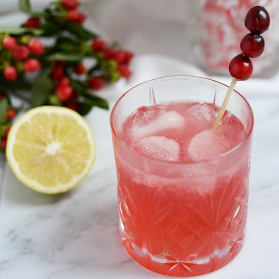 Cranberry-Mule