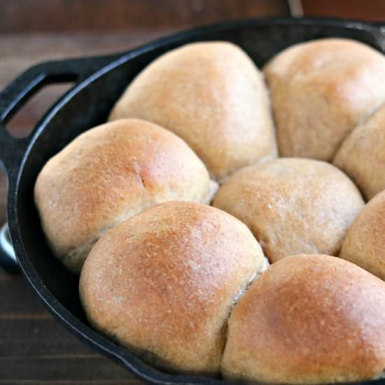 Whole Wheat Dinner Rolls