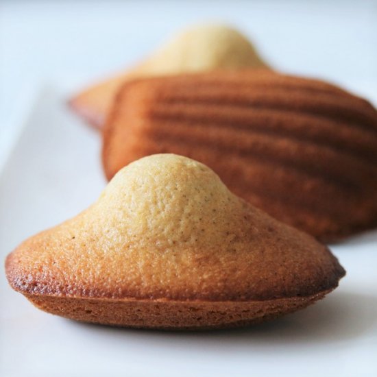 Ginger & Clove Madeleines