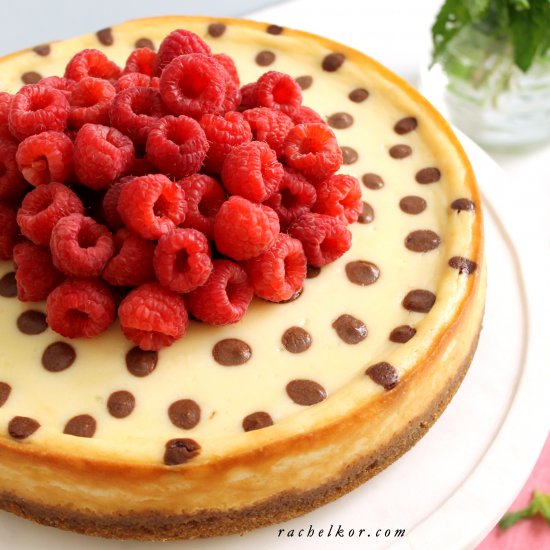 Polka Dot Cheesecake