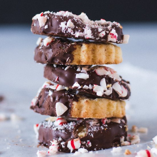 peppermint chocolate shortbread