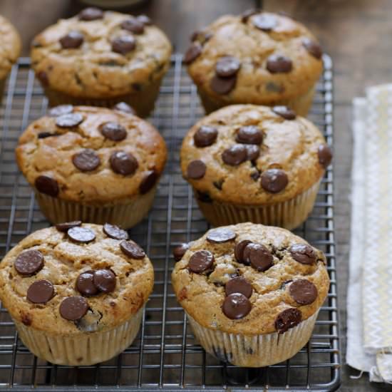 Chocolate Chip Praline Muffins