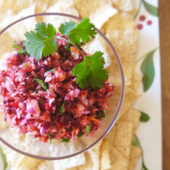 Cranberry Salsa