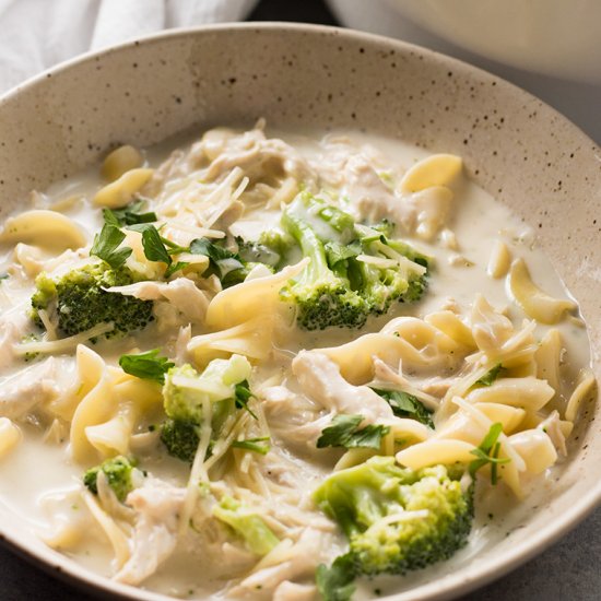 Chicken Alfredo Soup