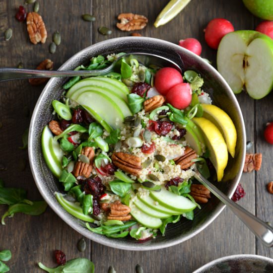 Apple & Cranberry Quinoa Salad