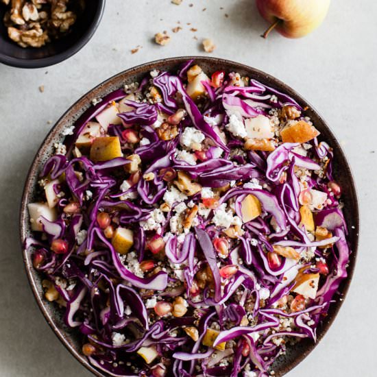 Red Cabbage Quinoa