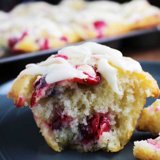 Cranberry Orange Yogurt Muffins