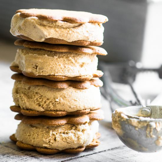 Homemade Gingerbread Ice Cream