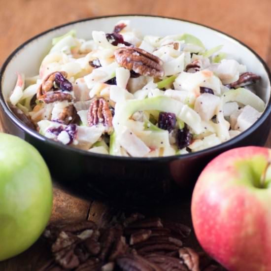 Spiralized Apple Turkey Slaw