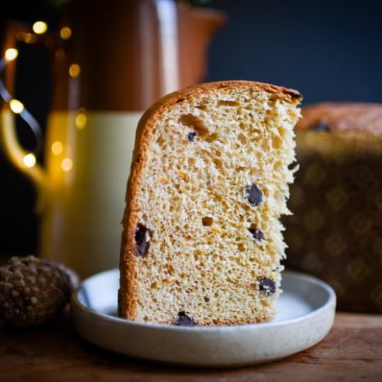 Chocolate Orange Panettone