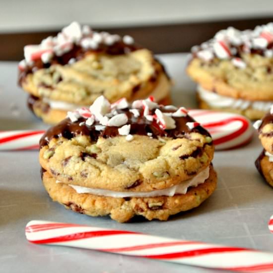 Mint Chocolate Chip Cookie Sandwich