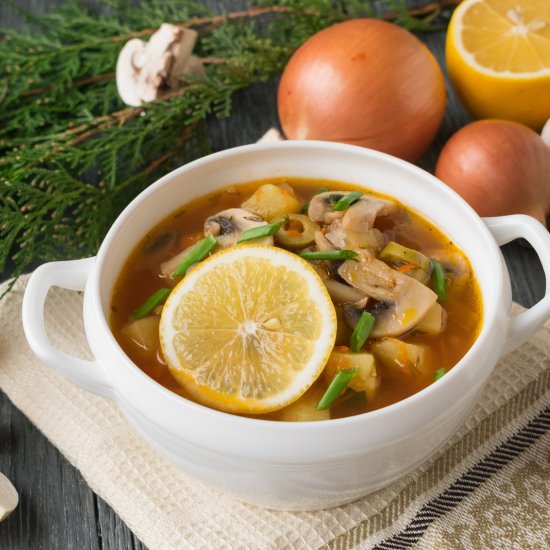 Russian Solyanka Soup