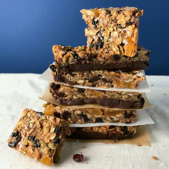 Homemade Icebox Granola Bars