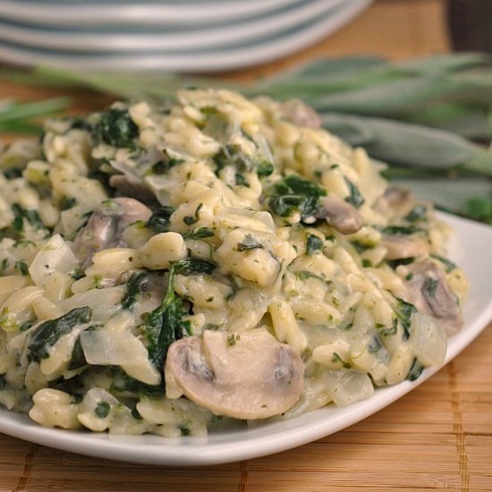 Creamy Mushroom and Spinach Orzo