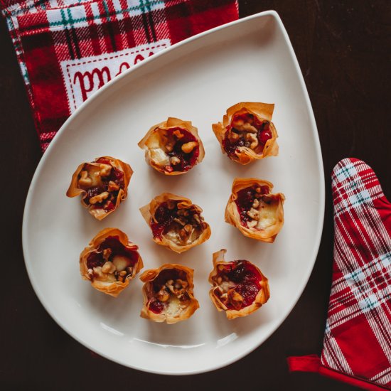 Orange Cranberry Brie Tarts