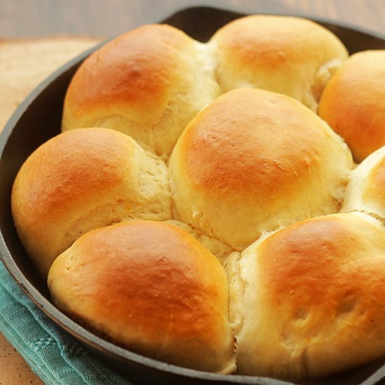 dinner rolls