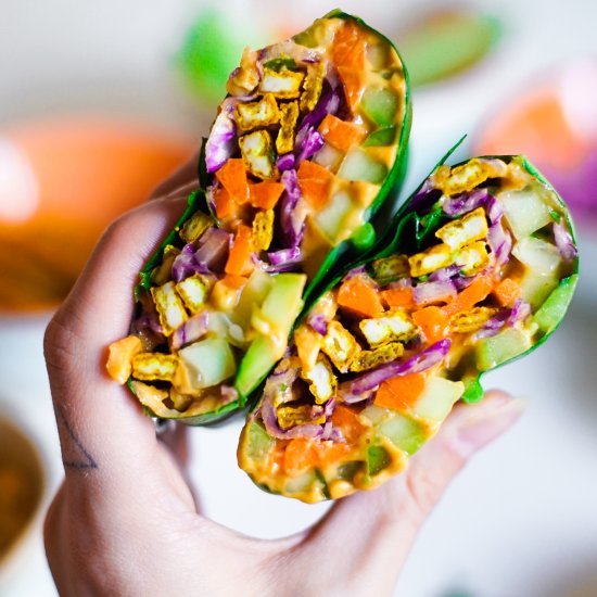 Veggie rainbow wraps + peanut sauce