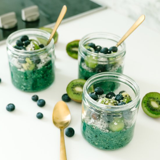 Tropical Spirulina Overnight Oats