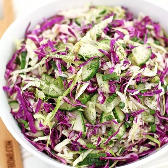 Red and Green Cabbage Cucumber Salad