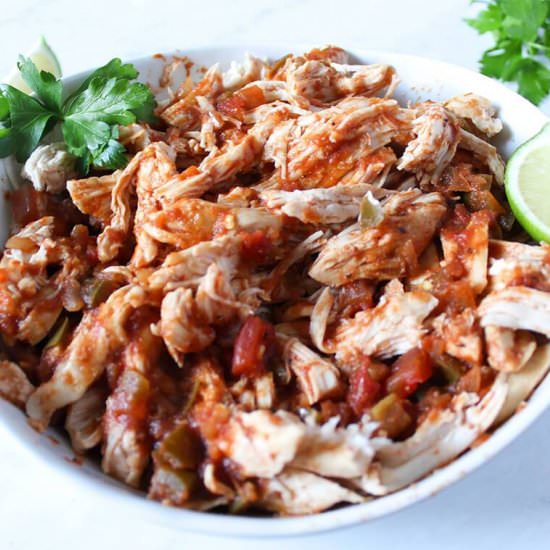 Crockpot Salsa Chicken