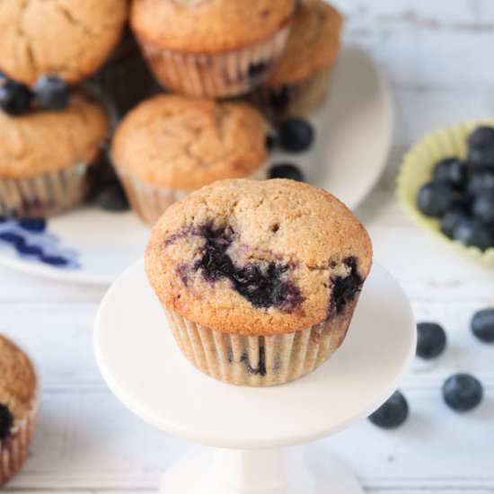 Blueberry Bliss Muffins