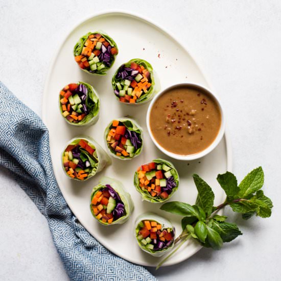 Rainbow Vegetable Spring Rolls