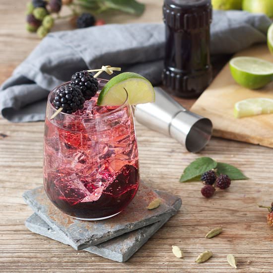 Gin Blackberry Cocktail