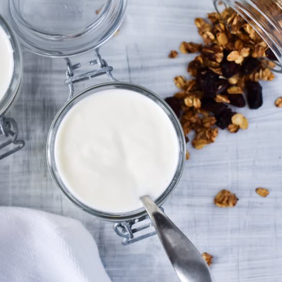 Homemade Instant Pot Vanilla Yogurt