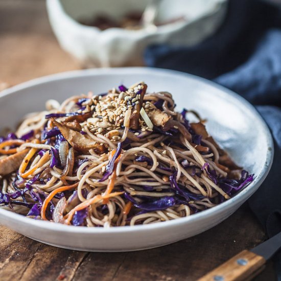 Purple Cabbage Chicken Lo Mein