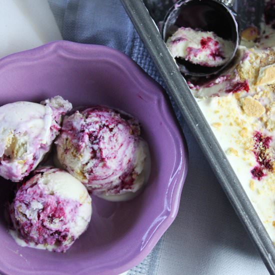 Blueberry cheesecake ice cream