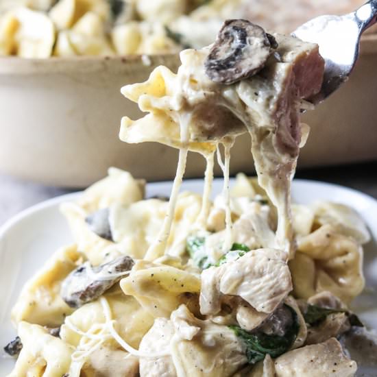 Chicken & Mushroom Tortellini Bake