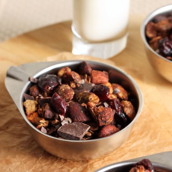 Dark Chocolate Cranberry Granola