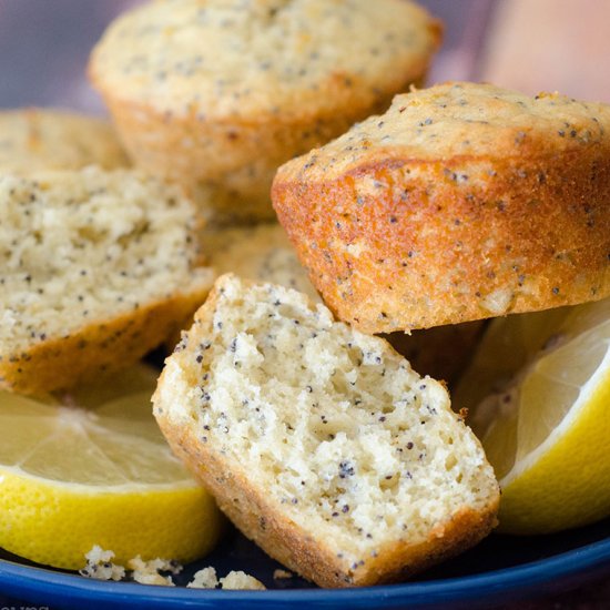 lemon poppy seed muffins