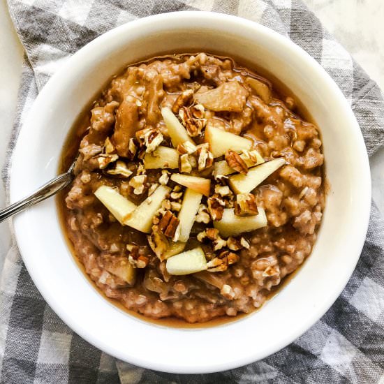 Slow Cooker Apple Steel Cut Oats